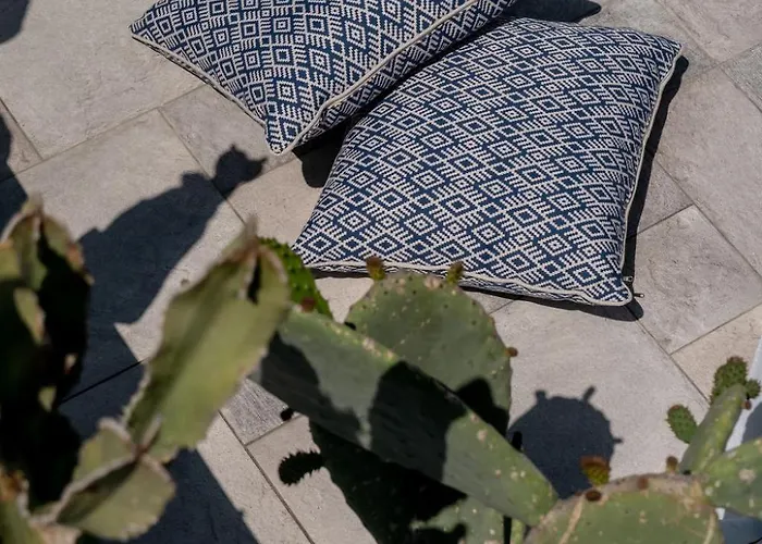 فيلة فينتوس باراديسو